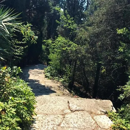 Ssenyange * וארנה