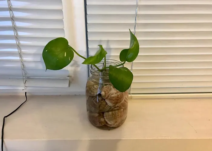 Konukevi Ssenyange Varna